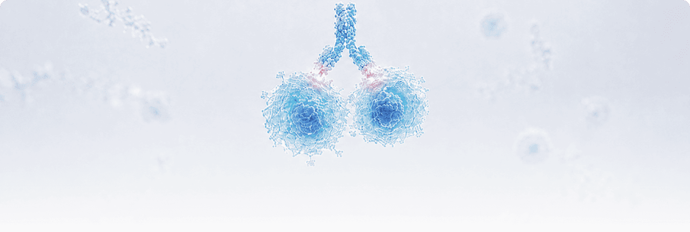 Immune Cell Phenotyping & Activation Antibodies